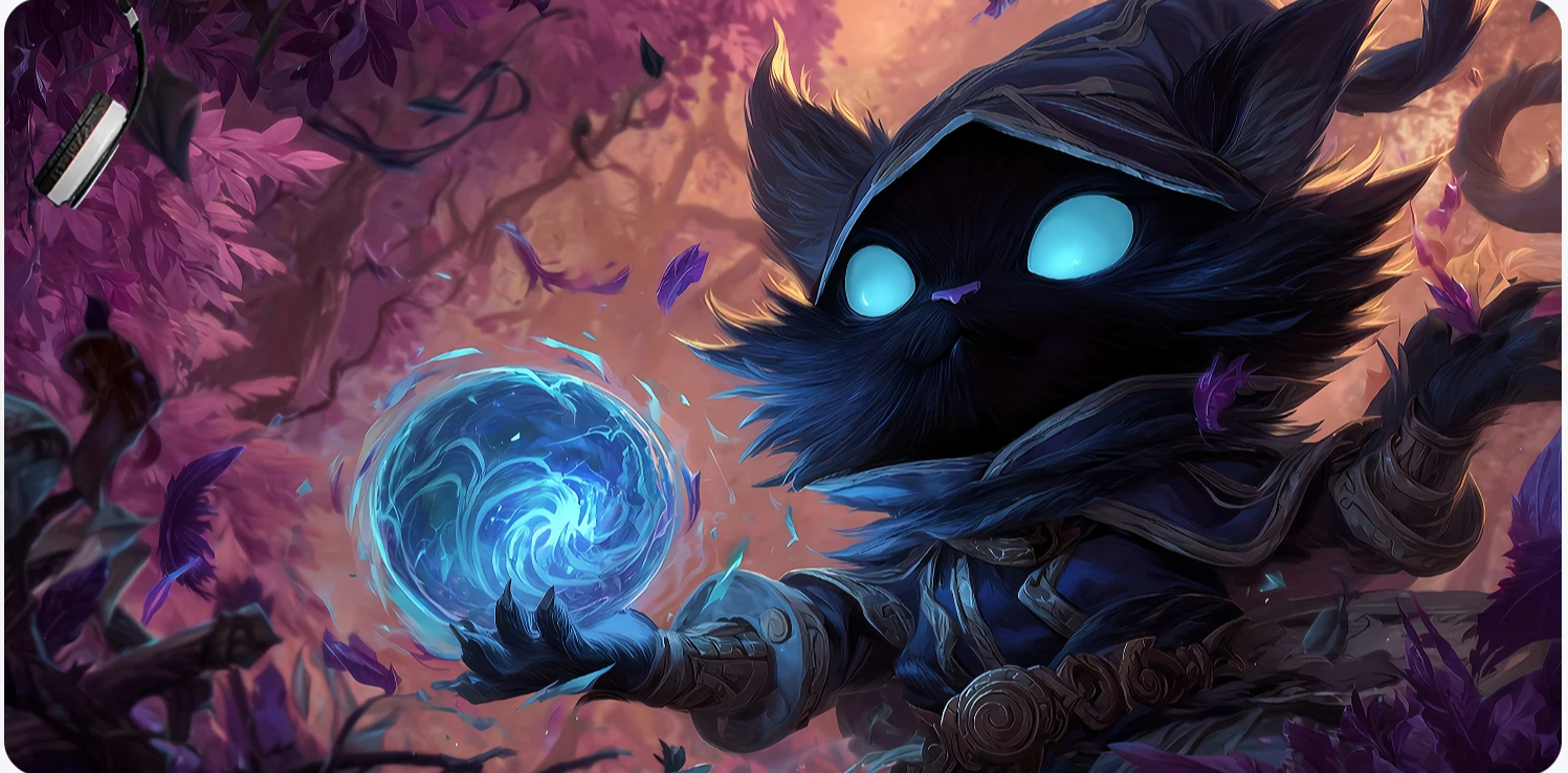 Cat the Stars Never Sleep